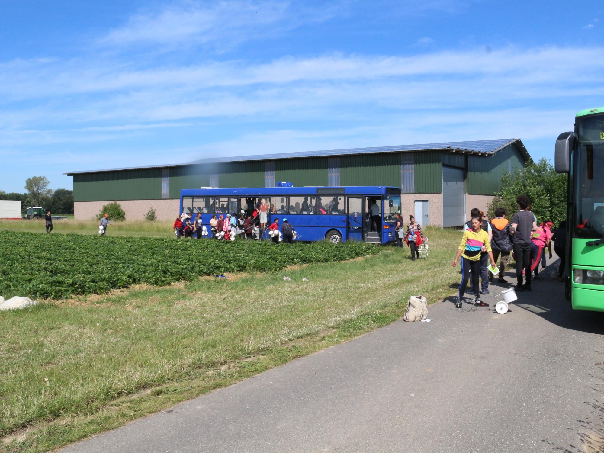 Projekt Transit im Gespräch mit Erntearbeiter:innen im Kreis Heinsberg